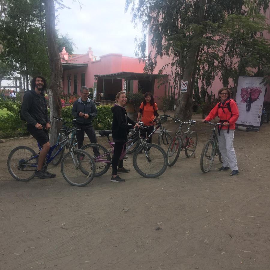 Ica Adventures Bed & Breakfast Екстериор снимка