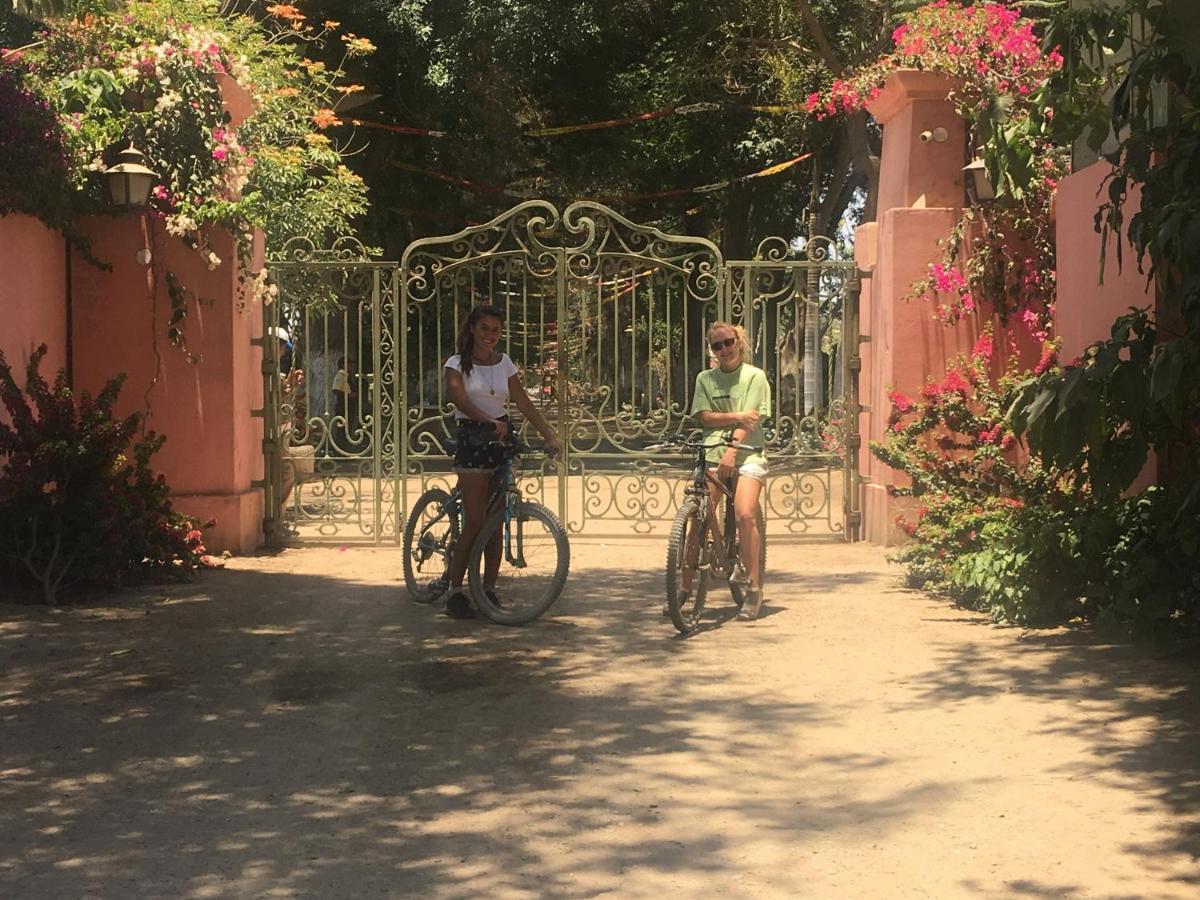Ica Adventures Bed & Breakfast Екстериор снимка